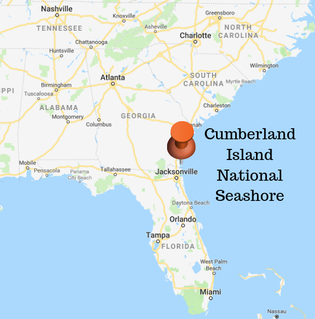 Plan for a Safe Trip - Cumberland Island National Seashore (U.S.