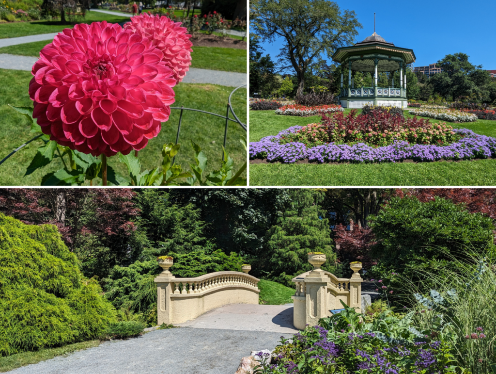 The Halifax Public Gardens is a fun free thing to do in Halifax to see flowers bloom in the botanical garden